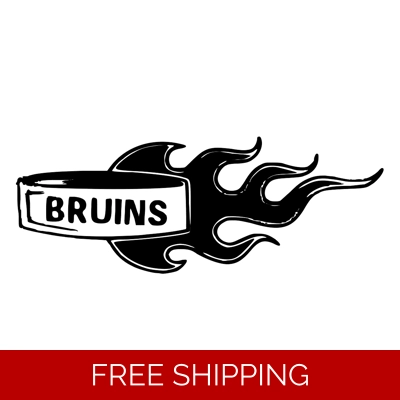 NHL Hockey Boston Bruins Die Cut Vinyl Decal Sticker